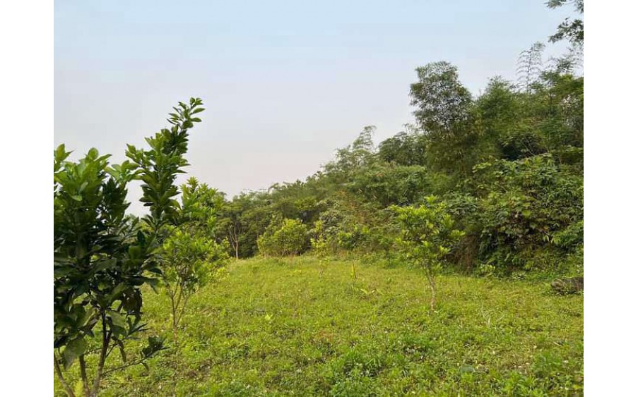 CHÍNH CHỦ CẦN BÁN 8.725M2 ĐẤT VIEW NÚI CÁCH QL 12B CHỈ 40M.