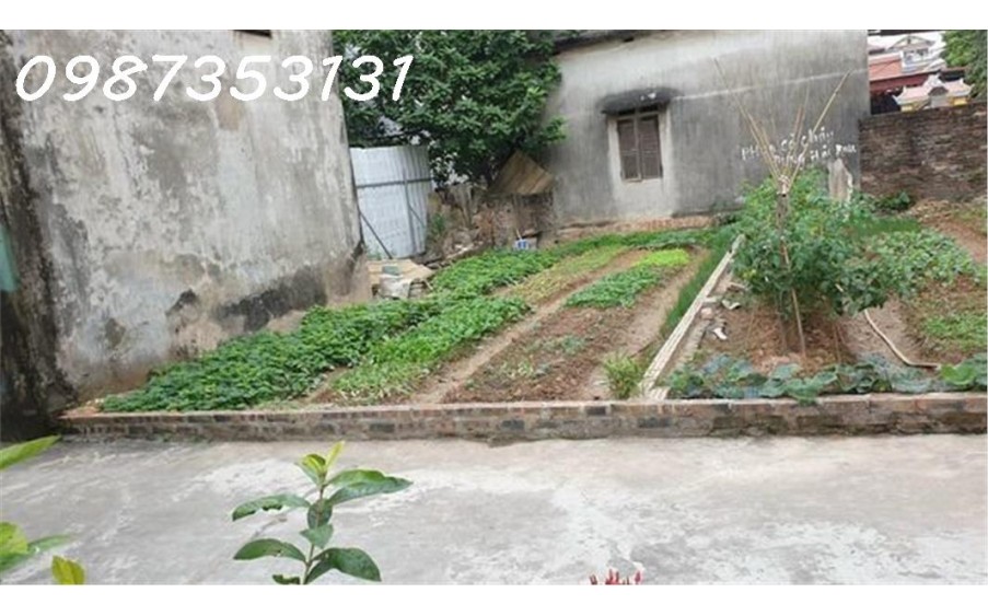 41m2 Đất siêu đẹp  cách  trường quốc tế Archimedes chỉ 200m
Cách đường oto chạy chỉ 60m.