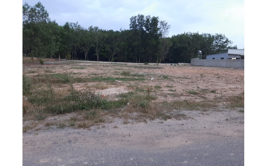 Bán đất Lộc An Long Thành Đồng Nai, giá tốt , đất dẹp, đầu tư sinh lời