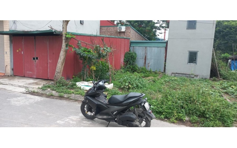 MẶT ĐƯỜNG CHỤC CHÍNH KINH CÁC LOẠI MẶT HÀNG ĐÔNG MỸ _ THANH TRÌ _ HÀ NỘI.