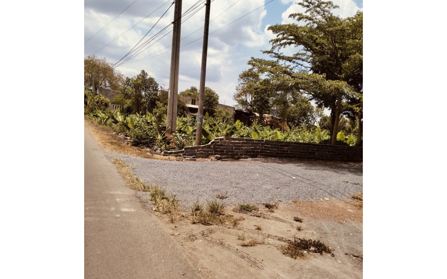 Chủ cần bán 7100 mv cây lâu năm mặt tiền nhựa lớn , sông trầu trảng bom , đồng nai