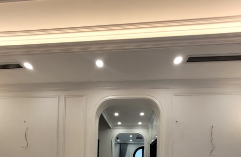 Biệt thự Ngọc Trai đảo nhỏ hoàn thiện cao cấp mặt công viên, giá 44.x tỷ Vin Gia Lâm (0985941715)