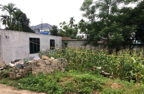 Hơn 40 mét mặt tiền rất lý tưởng cho các nhà đầu tư phân lô