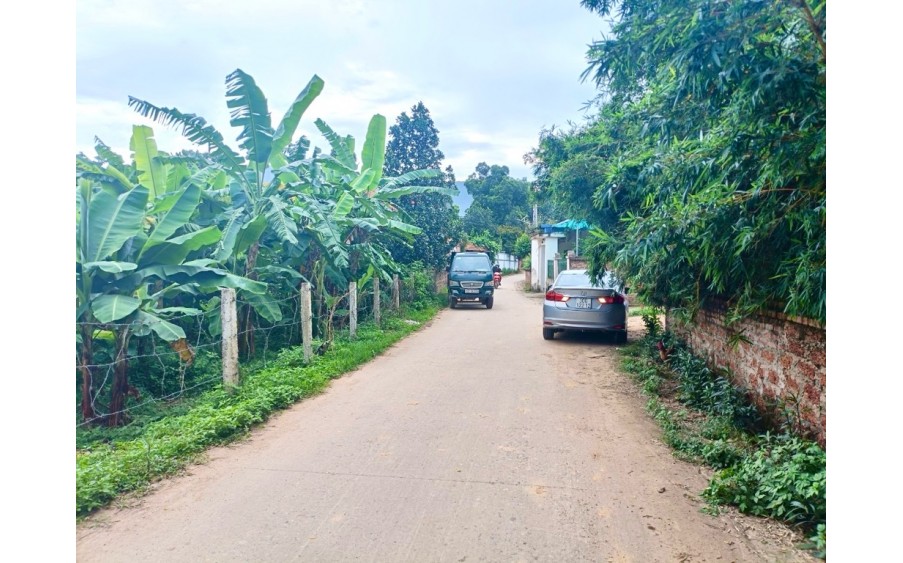 BÁN ĐẤT SÓC SƠN Đền Rõm, Thanh Hà, Nam Sơn, ĐẦU TƯ GIỮ TIỀN, CHỈ 1.55 TỶ