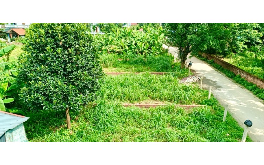 BÁN ĐẤT SÓC SƠN Đền Rõm, Thanh Hà, Nam Sơn, ĐẦU TƯ GIỮ TIỀN, CHỈ 1.55 TỶ