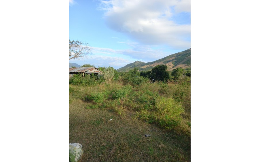 Chính Chủ Cần Bán  Nhanh Lô Đất Thôn Suối Môn, Xã Cam Phước Đông, TP Cam Ranh, Khánh Hòa