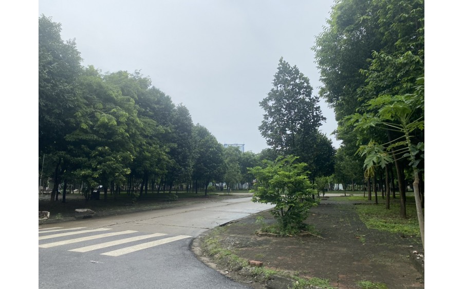 Bán đất giãn dân sau Toyota Bắc Ninh