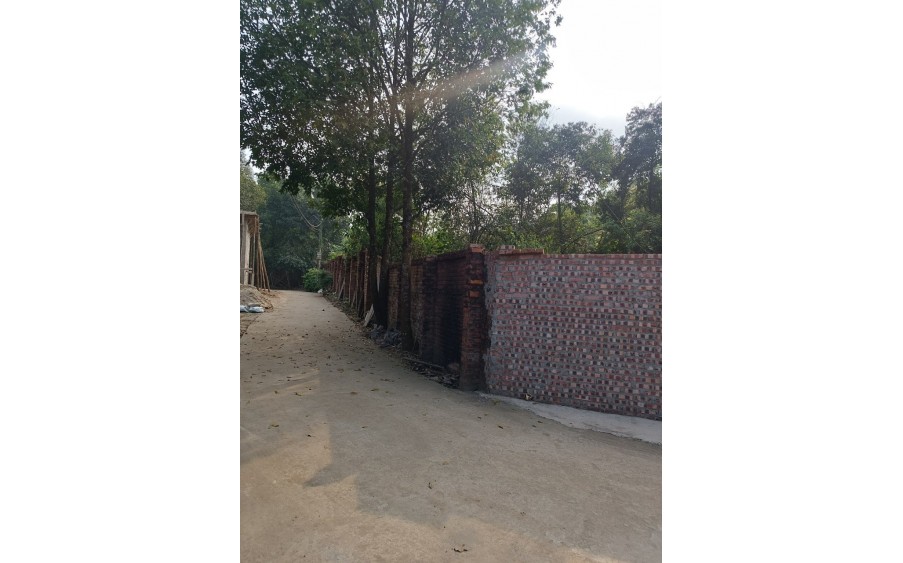 Cho thuê lâu dài đất thổ cư 5.000 m2,đã xây tường gạch,oto vào tận nơi tại Cổ Đông, Sơn Tây