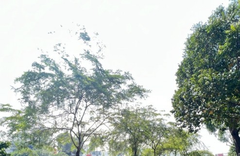 Bán nhà Mặt tiềnTtrường Sa, P13, Q3, 5 tầng, có thang máy, vị trí siêu đỉnh, chỉ 32 tỷ