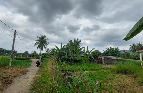 Chính chủ cần bán nhanh lô đất thổ cư Thôn Vĩnh Giang, xã Sơn Giang, huyện Sông Hinh, tỉnh Phú Yên