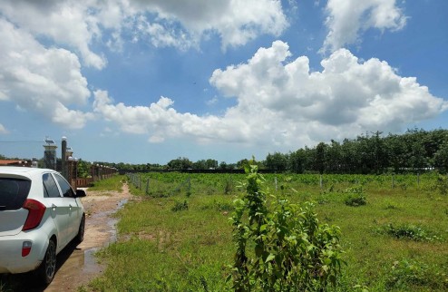 Bán vườn cây ăn trái tại xuyên mộc. Giá 350tr/ sào. Tổng 4.5 sào.