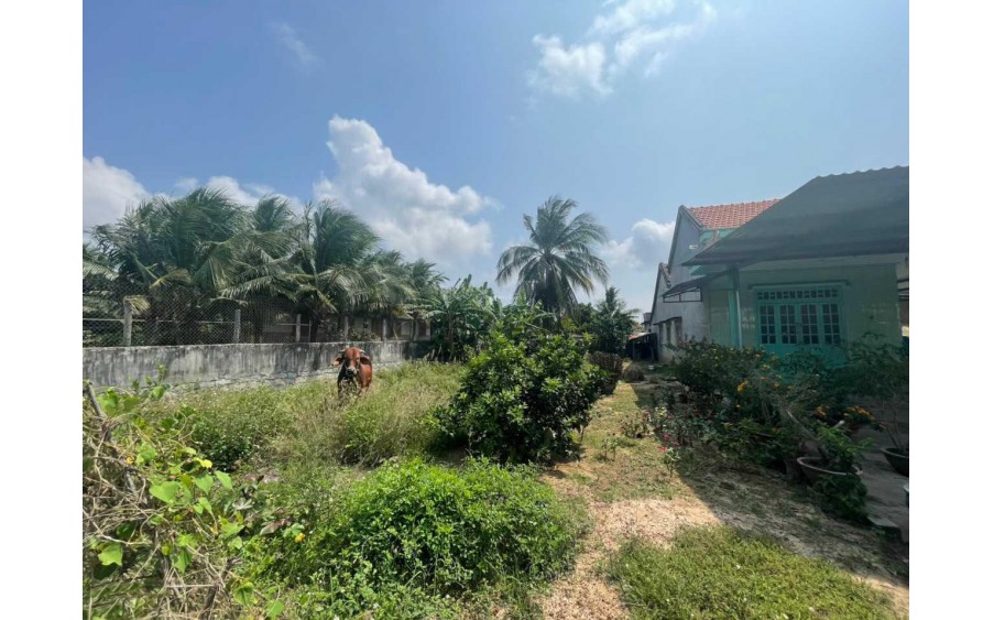 Bán đất 400m2 đất thổ cư, Ninh Ích, Ninh An, Ninh Hòa, Khánh Hòa