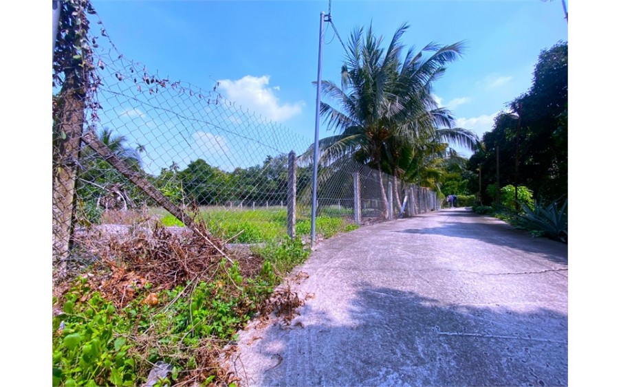 Bán Đất An Sơn32 Xã AN Sơn, Thuận An Bình Đường  500m2 Thổ Cư 100m2  Mặt Tiềng Đương 3.5 mét Sổ Hồng Riêng