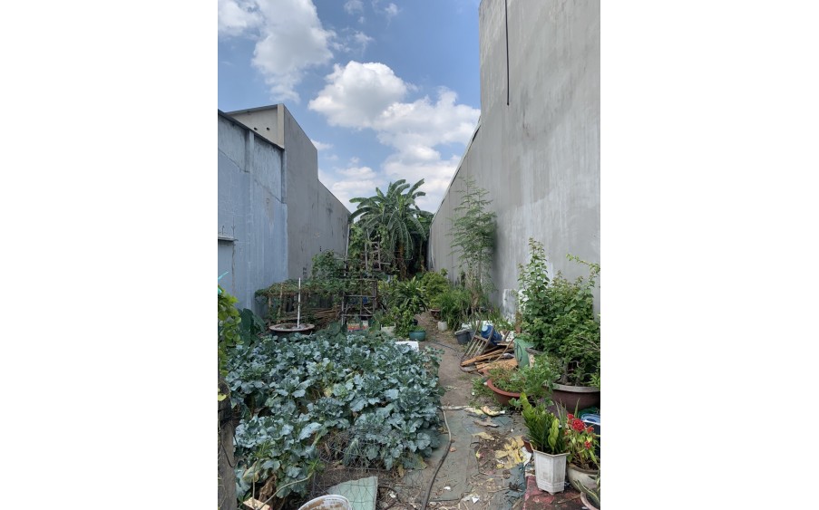 Bán đất Tam HIệp 220m2 sổ riêng, thổ cư 100% đường oto giá chỉ 19tr/m2