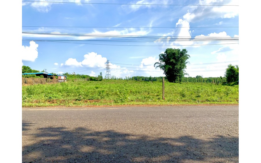 BÁN LỖ 4 SỔ GIÁ 560TR/SỔ NỀN ĐẤT (20 x68=1.400m2) MẶT TIỀN NHỰA, SHR, GẦN TRƯỜNG HỌC, CHỢ, DÂN CƯ ĐÔNG