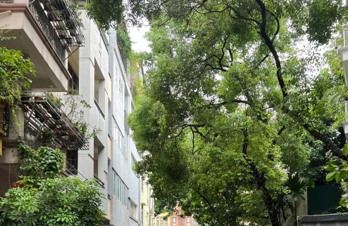 CẦN BÁN NHÀ GIẢNG VÕ 
DT: 59M 4T 5.8MT